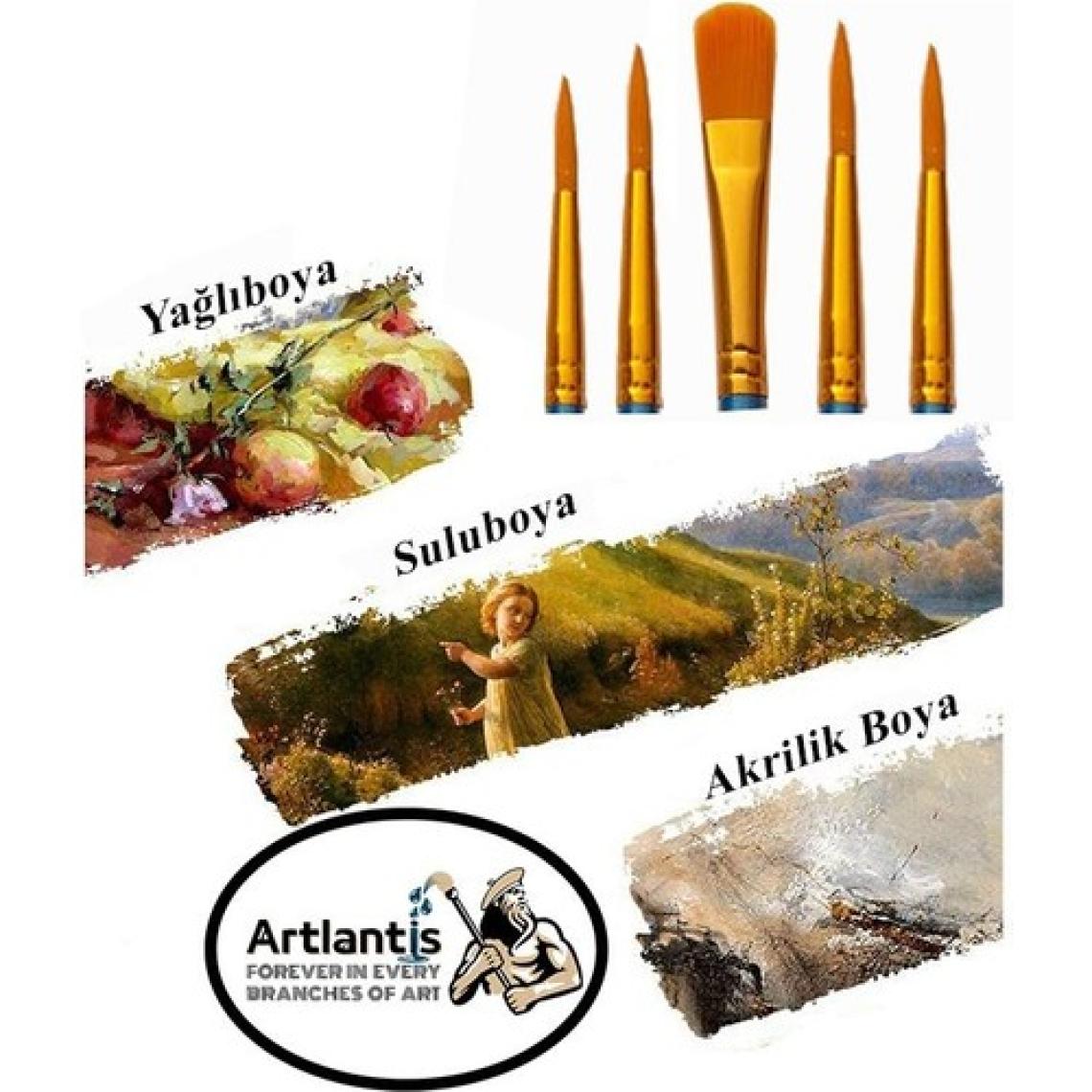 Artlantis Fırça Seti 5 Li Sentetik Ipek Uçlu Resim Fırçası 1 Paket Suluboya Akrilik Boya Guaj Boya Yağlı Boya