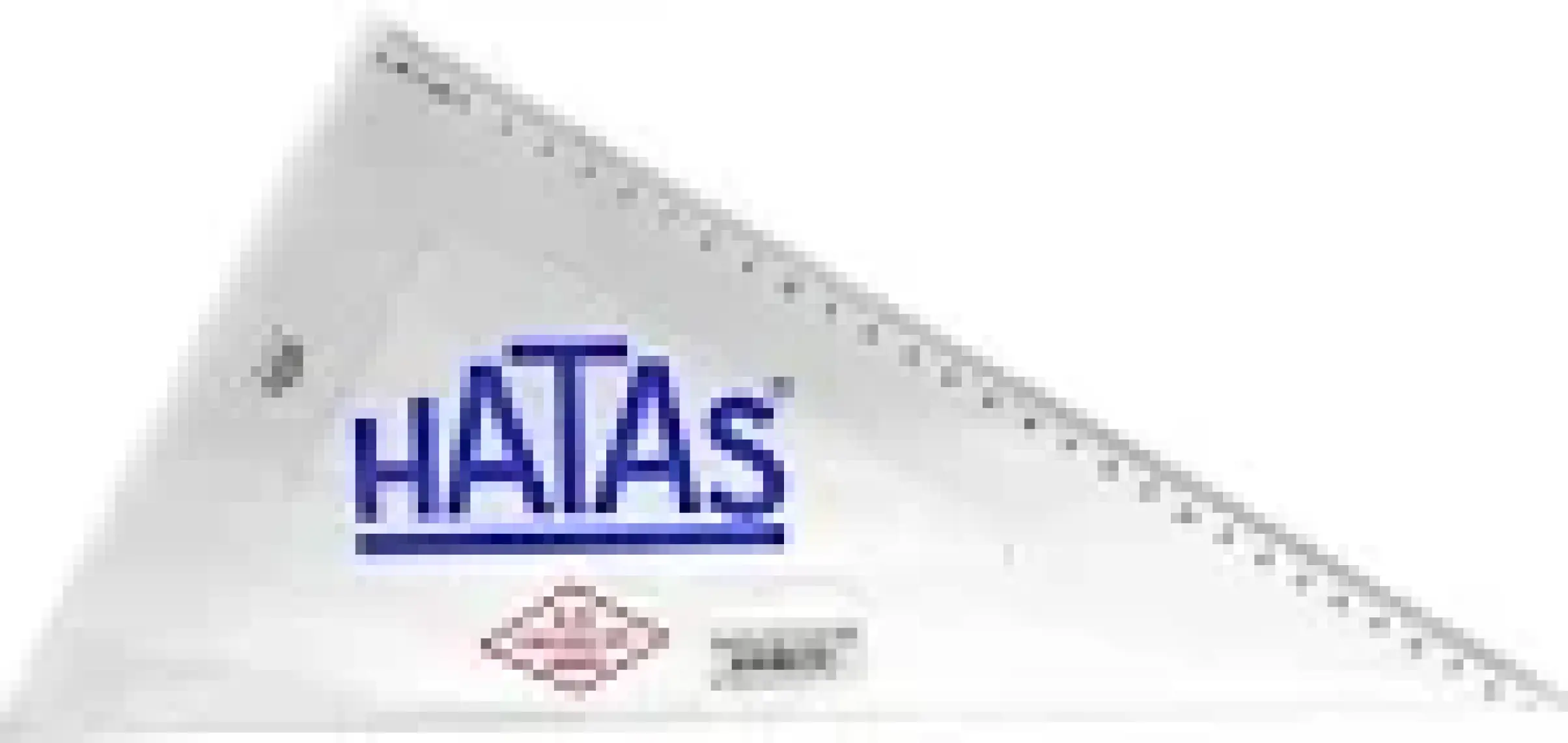 Hatas Gönye Ögrenci Tipi 30 Cm 60 Derece 0801