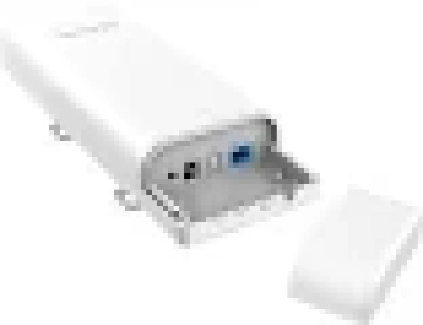 Tenda O6 1Port Gigabit WiFi-N 300Mbps Outdoor Access Point