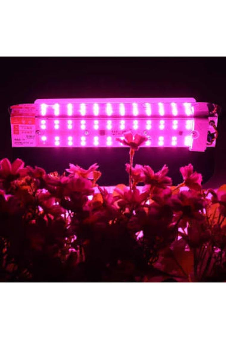 Profisher Tam Spektrum Fito Bitki  Büyütme LED Işık 50W Ac 220V 180° Ip 65 Su Geçirmez