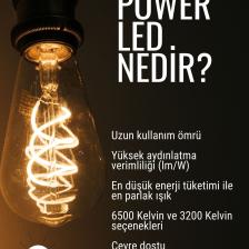 Nicole Plofonyer Ledli Avize