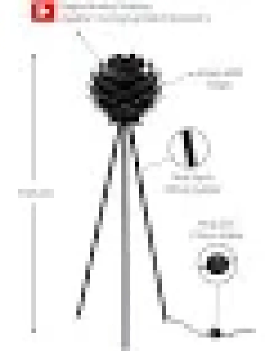 Design Otto Lotus Metal Ayaklı Yerpuar Anahtarlı Ahşap Modern Tripod Üç Ayaklı Lambader Aydınlatma