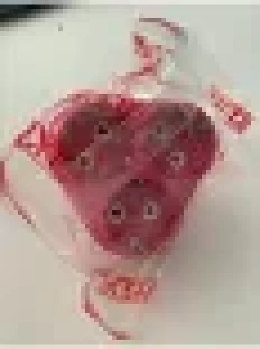 Alkan 3lü Topraklı Golyad Fiş Papatya Pembe