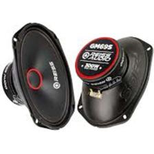 Reiss Audio RS-GM69S 300 Watt Max POWER+100 Watt Rms Power+6x9 Oval Midrange