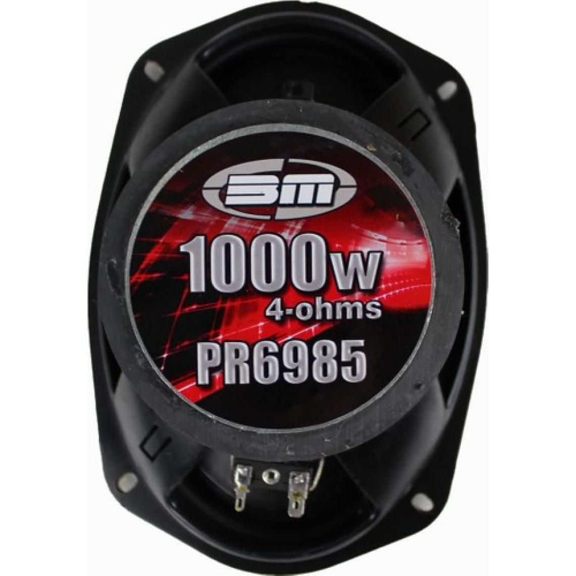 Bm Audio 6x9 Oval Hoparlör