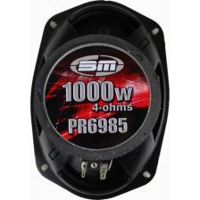 Bm Audio 6x9 Oval Hoparlör