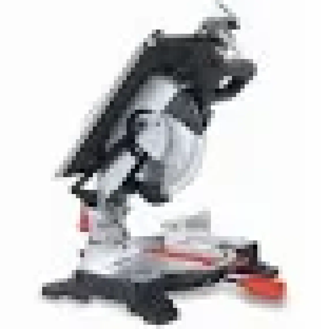 Attlas G6f250 - 250 Mm Üstten Kesme - 60 Diş
