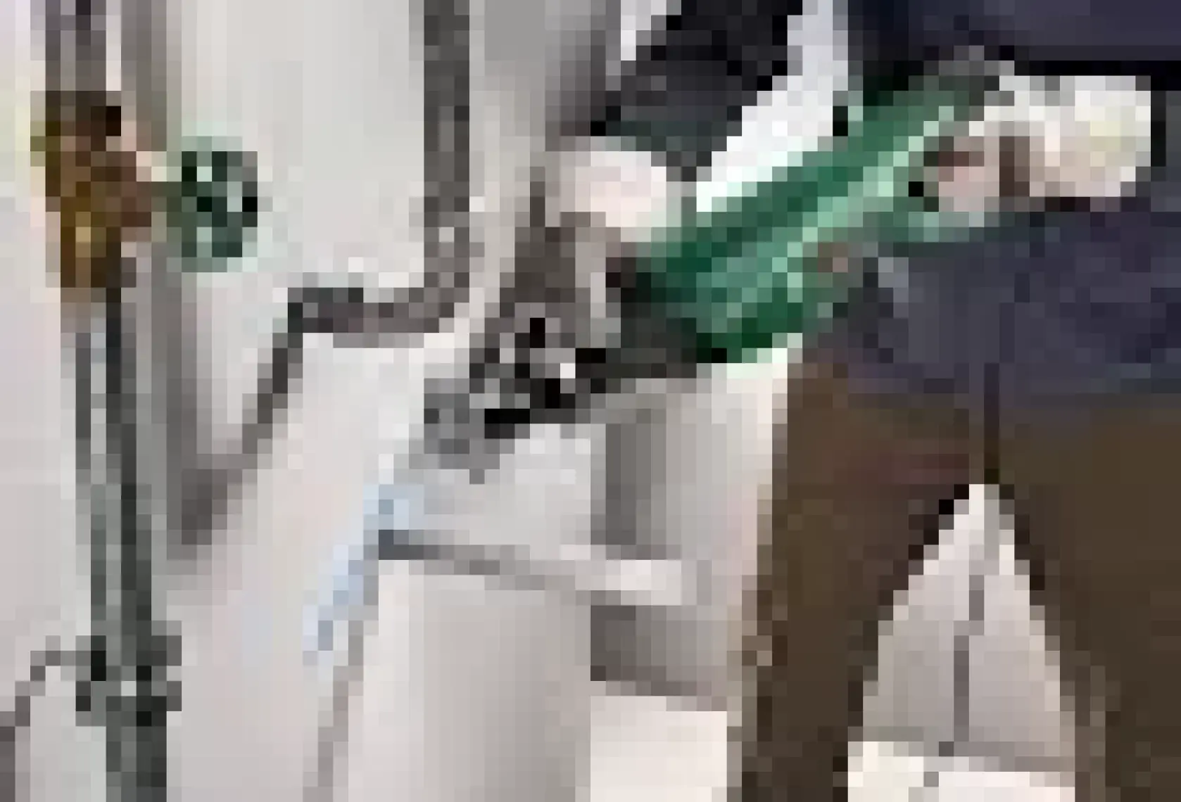 Bosch Psa 700 E Tilki Kuyruğu