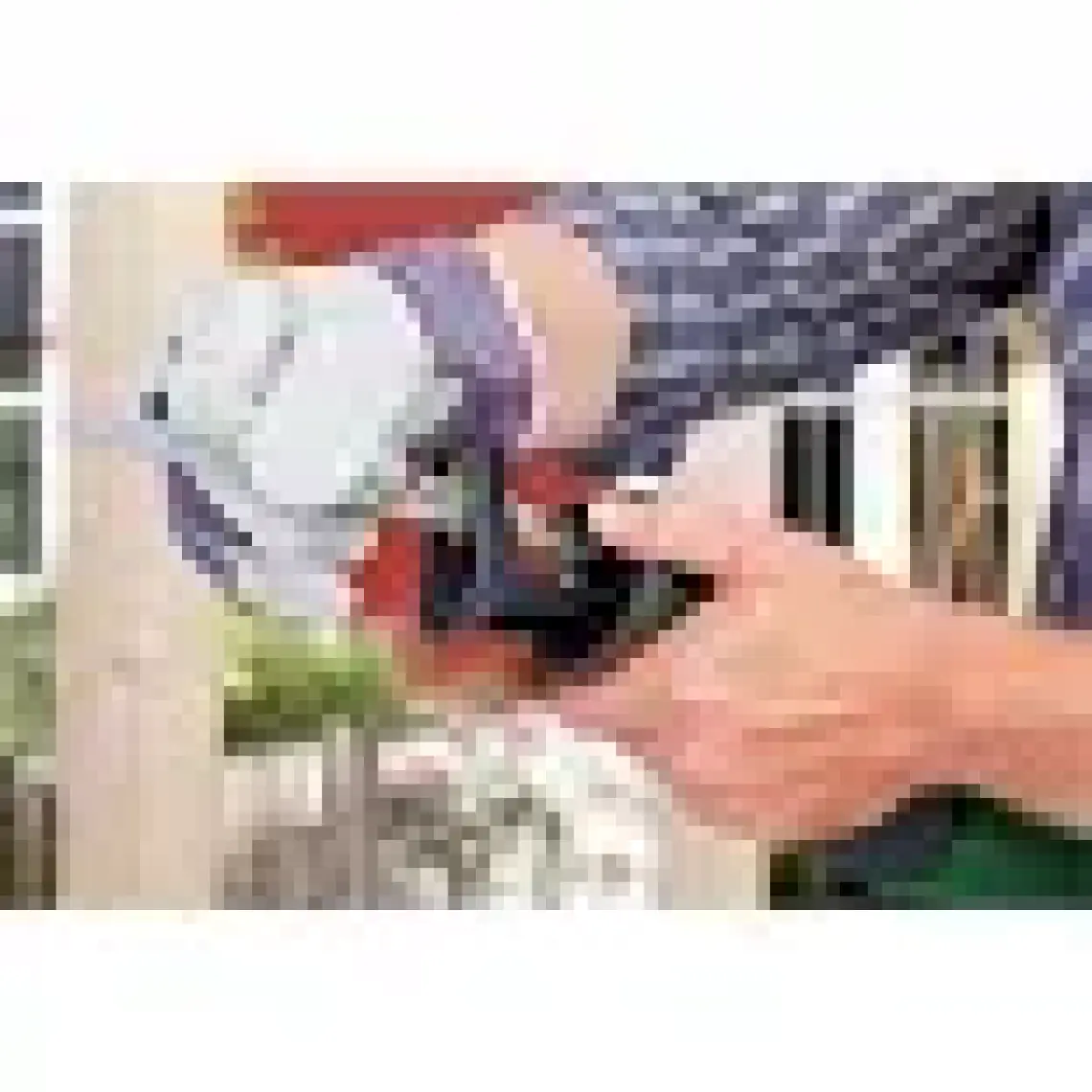 Bosch Psa 700 E Tilki Kuyruğu