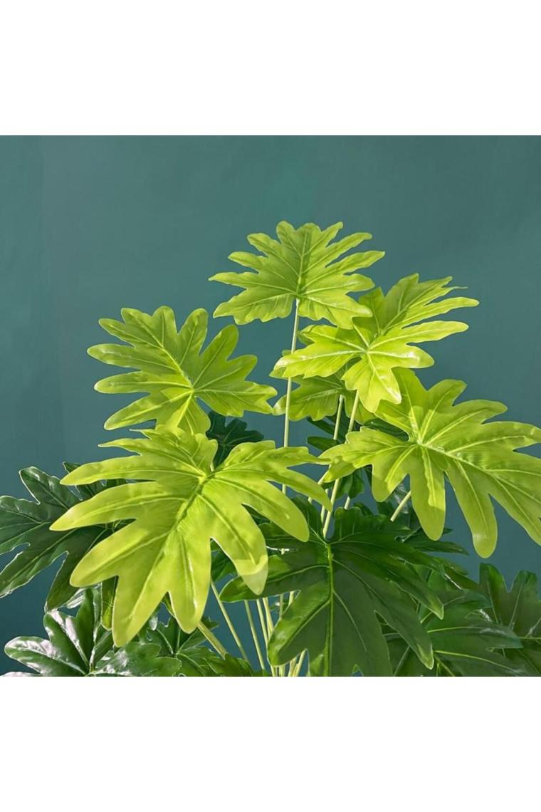 Yapay Ağaç Salon Bitkisi Syngonium 70 Cm 18 Yaprak Antrasit Saksıda