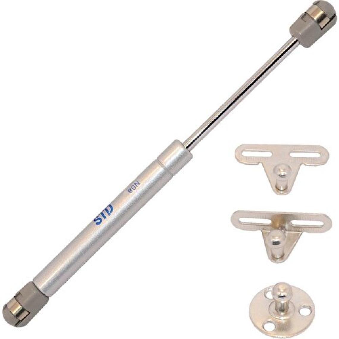 Std Gazlı Piston 80 N