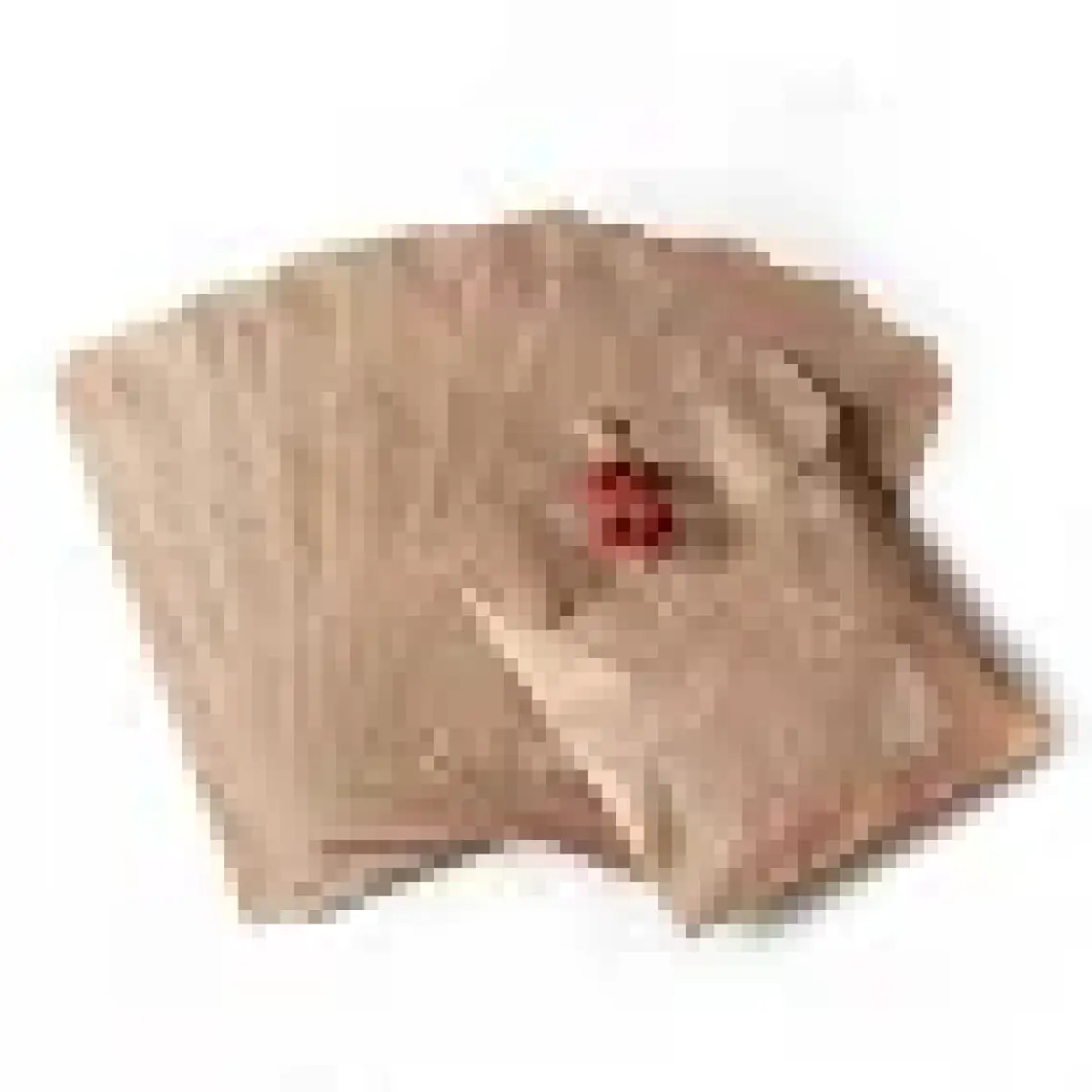 Çam desenli kese kağıdı, kraft  18x30 - 1000 adet