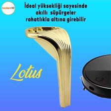 Badem10 Lotus Lüks Mobilya Kanepe Sehpa Tv Ünitesi Koltuk Ayağı 16 Cm Gold Altın Baza Ayakları