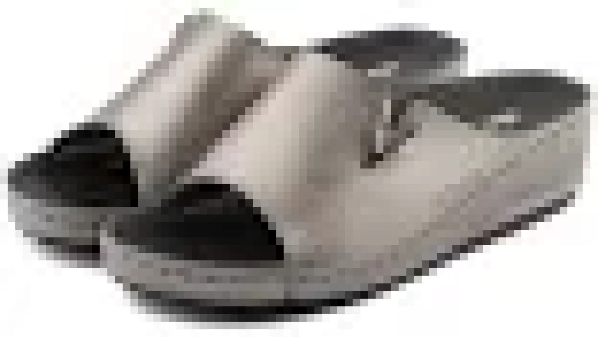 Roy Jones Kadın Ortopedik Konfor Modeli Günlük Şık Terlik Anatomik Tabanlı Abiye Rahat Dışarı & Ev Terliği