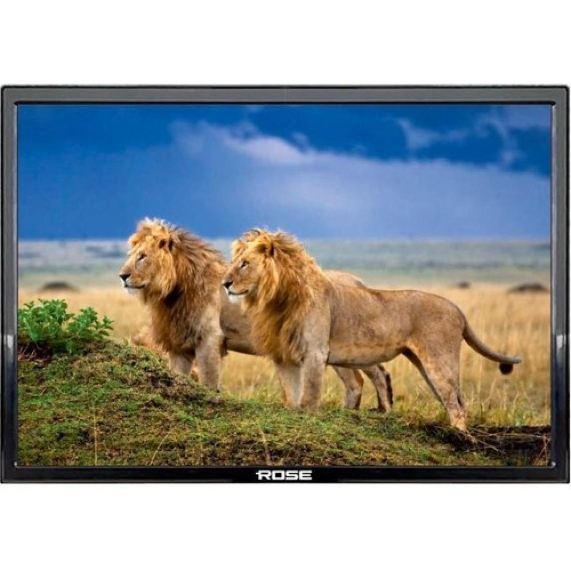 Rose Ekran-119 19" 48 Ekran HD Ready LCD TV