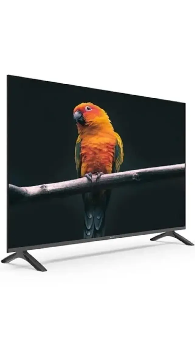 Sunny SN50FMN501 50" 127 Ekran Dahili Uydu Alıcılı 4K Ultra HD Smart LED TV