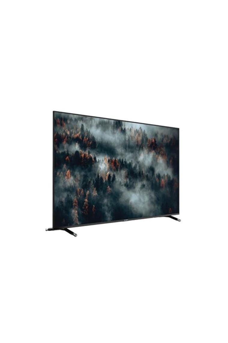 AX65FIL240 65" 165 Ekran Uydu Alıcılı 4K Ultra HD WebOS Smart LED TV