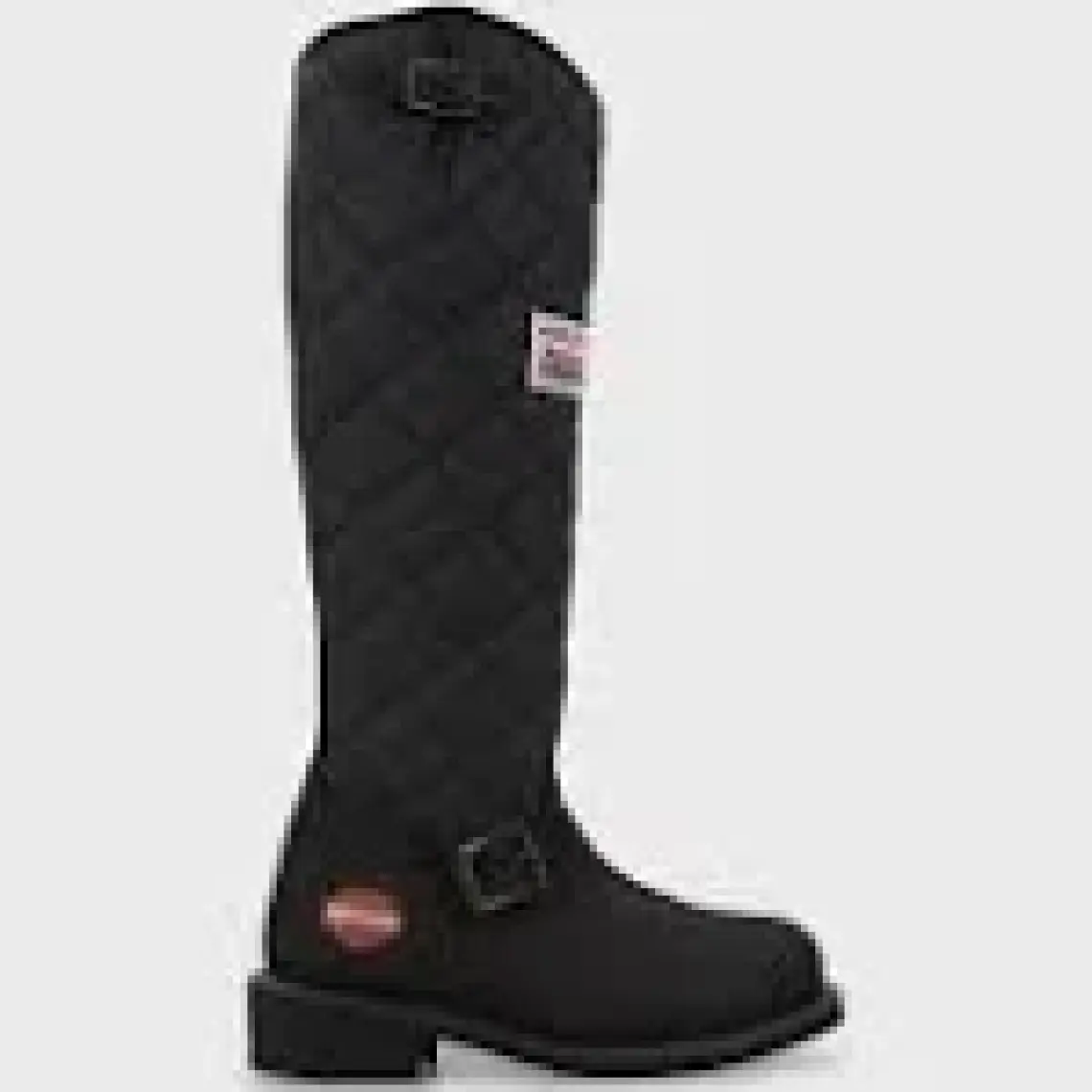 Harley Davidson Laconia Hi 646 Black Nubuk Kadın Çizme