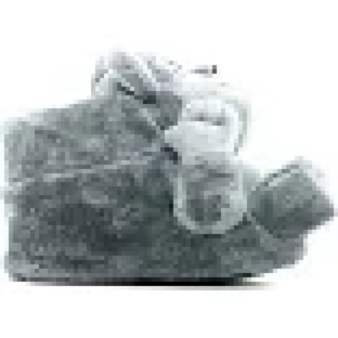 Twigy Monkey Unisex Hayvanli Panduf (36-43)  22K T-Monkey U