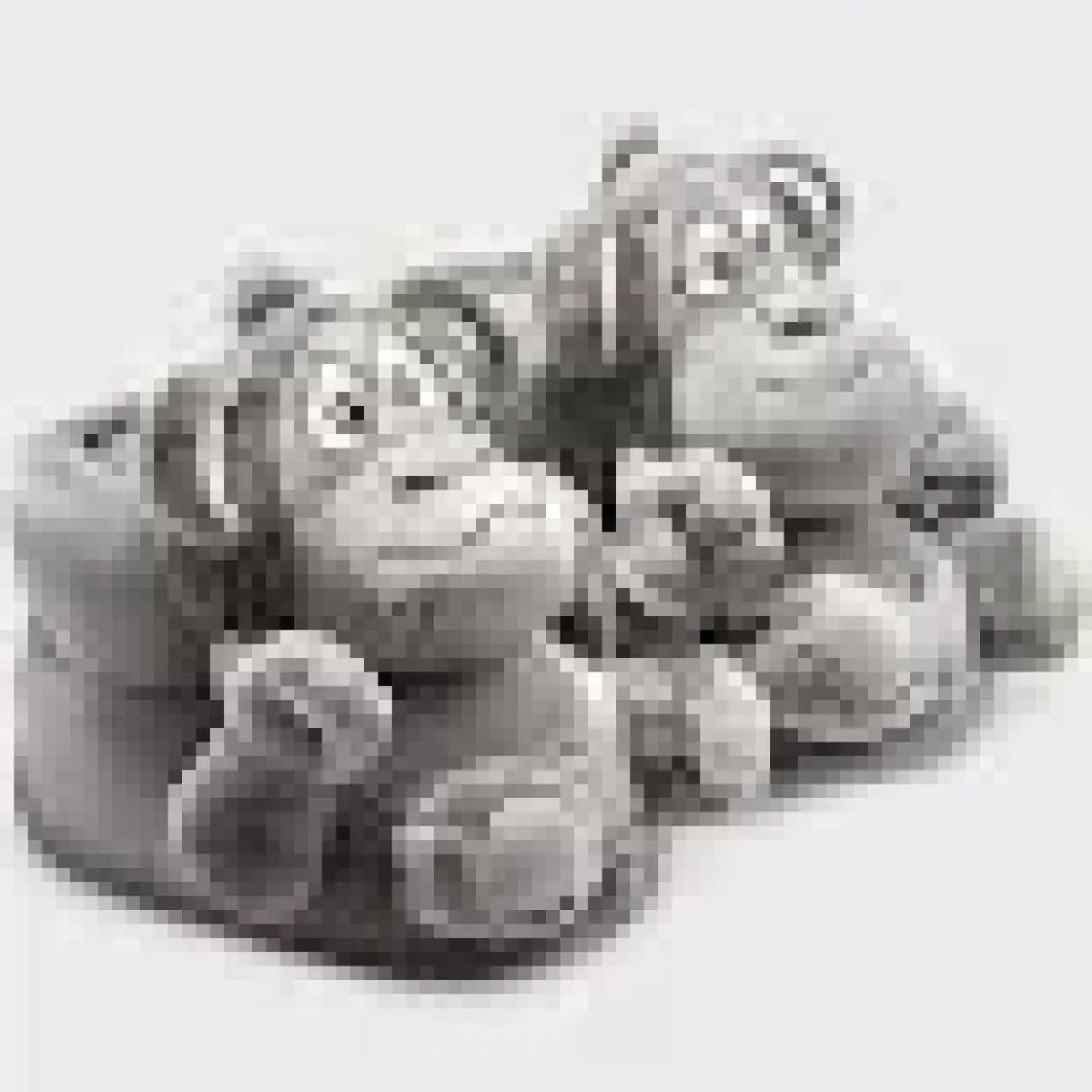 Twigy Monkey Unisex Hayvanli Panduf (36-43)  22K T-Monkey U