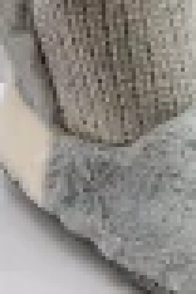 Twigy Kolet Kadın Ev Botu Gri 36/41 CC0020