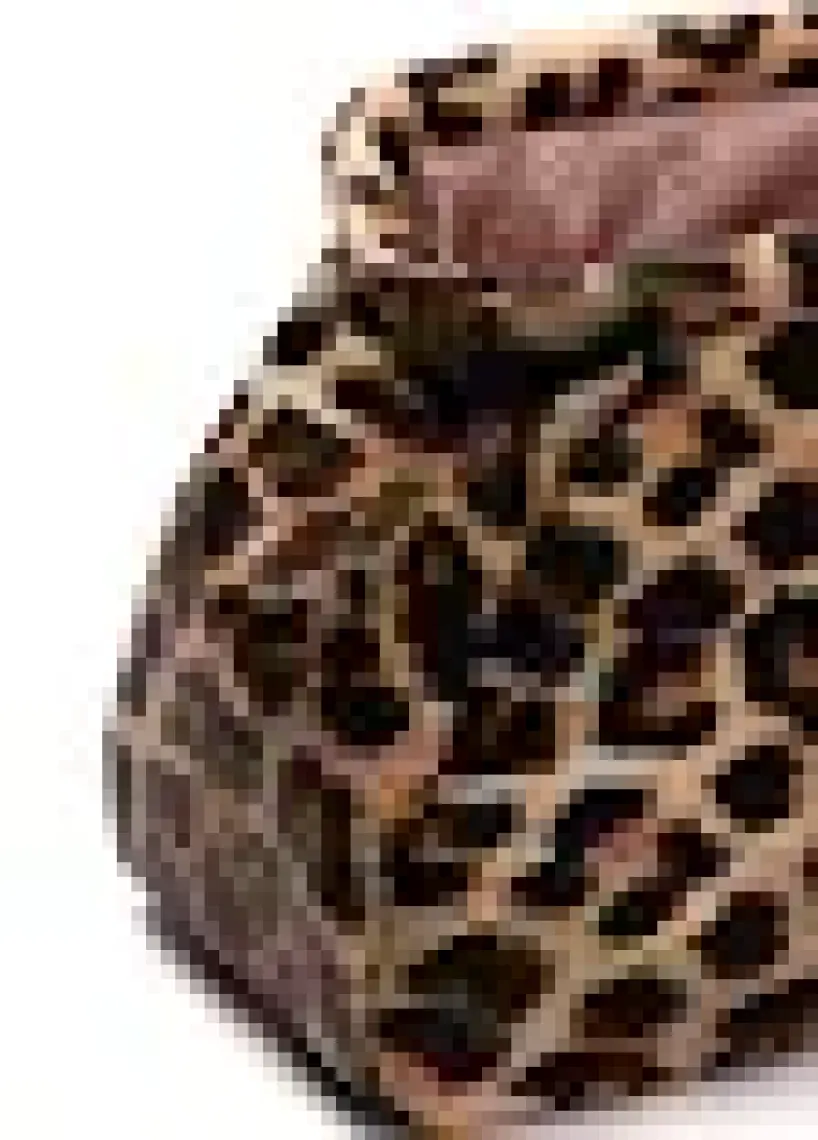 Bahels Kadın Leopar Deri Clutch Portföy Çanta