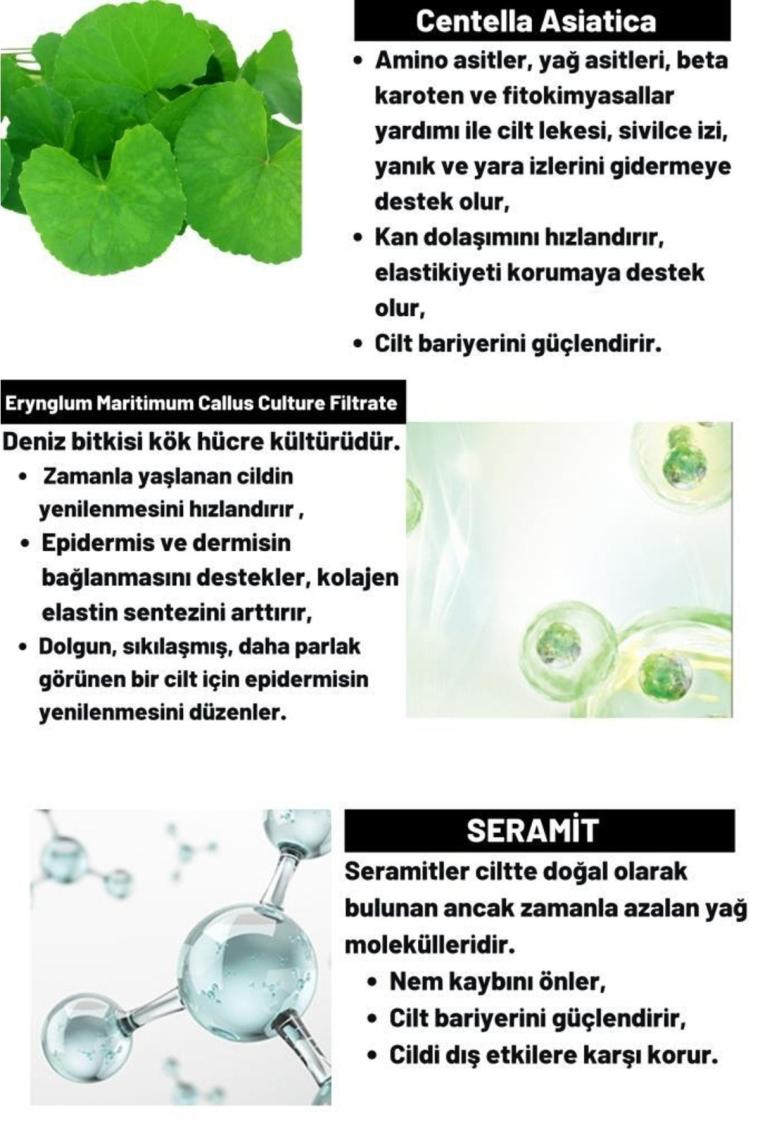 Cıca X Mide Cream Centella Asiatica Ve Seramid Özlü Aydınlatıcı Kırışıklık Bakımı Yüz Kremi