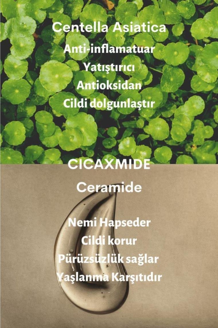 Cıca X Mide Cream Centella Asiatica Ve Seramid Özlü Aydınlatıcı Kırışıklık Bakımı Yüz Kremi