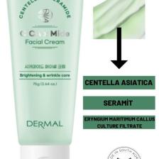 Cıca X Mide Cream Centella Asiatica Ve Seramid Özlü Aydınlatıcı Kırışıklık Bakımı Yüz Kremi