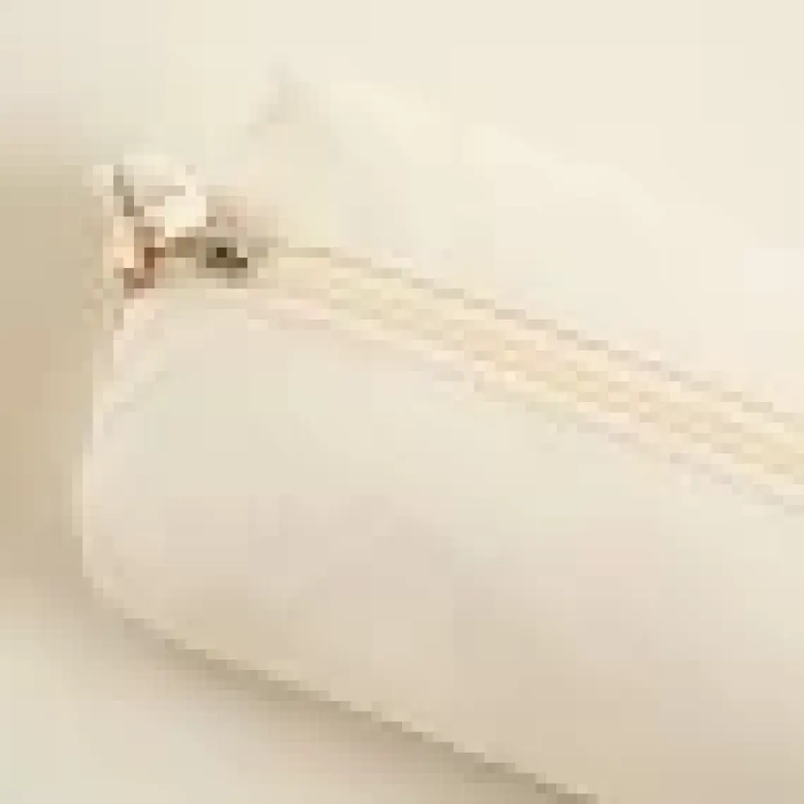 Mintion Çok Amaçlı Çanta 19X8,5 cm Natural