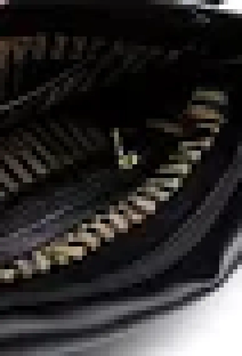 Silver & Polo Siyah - Siyah SP963 Kadın Çapraz Çanta