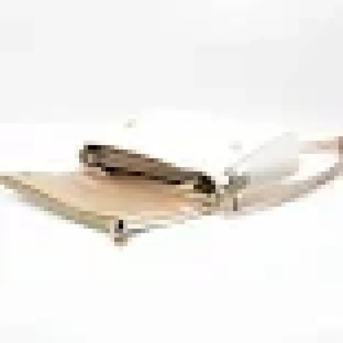 Silver & Polo Siyah - Siyah SP963 Kadın Çapraz Çanta