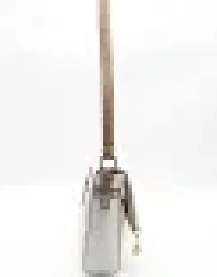 Silver & Polo Siyah - Siyah SP963 Kadın Çapraz Çanta