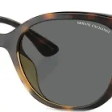 Armani Exchange AX4144SU 8345D6 54 Unisex Güneş Gözlüğü
