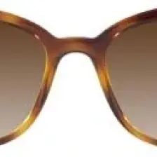 Vogue 5496SI W65613 54 Kadın Güneş Gözlüğü