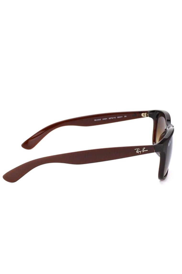Ray-Ban Andy 4202 607313 Brown Unisex Güneş Gözlüğü
