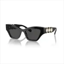 Swarovski SK6021 100187 53 Kadın Güneş Gözlüğü