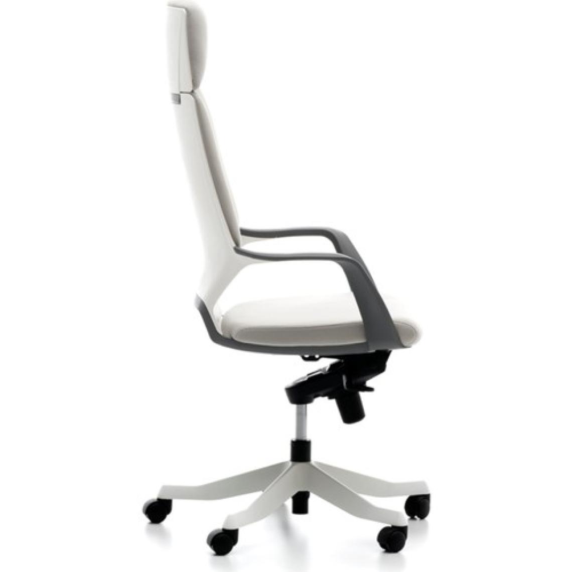 Bürotime Swan Yönetici Koltuğu Açık Gri