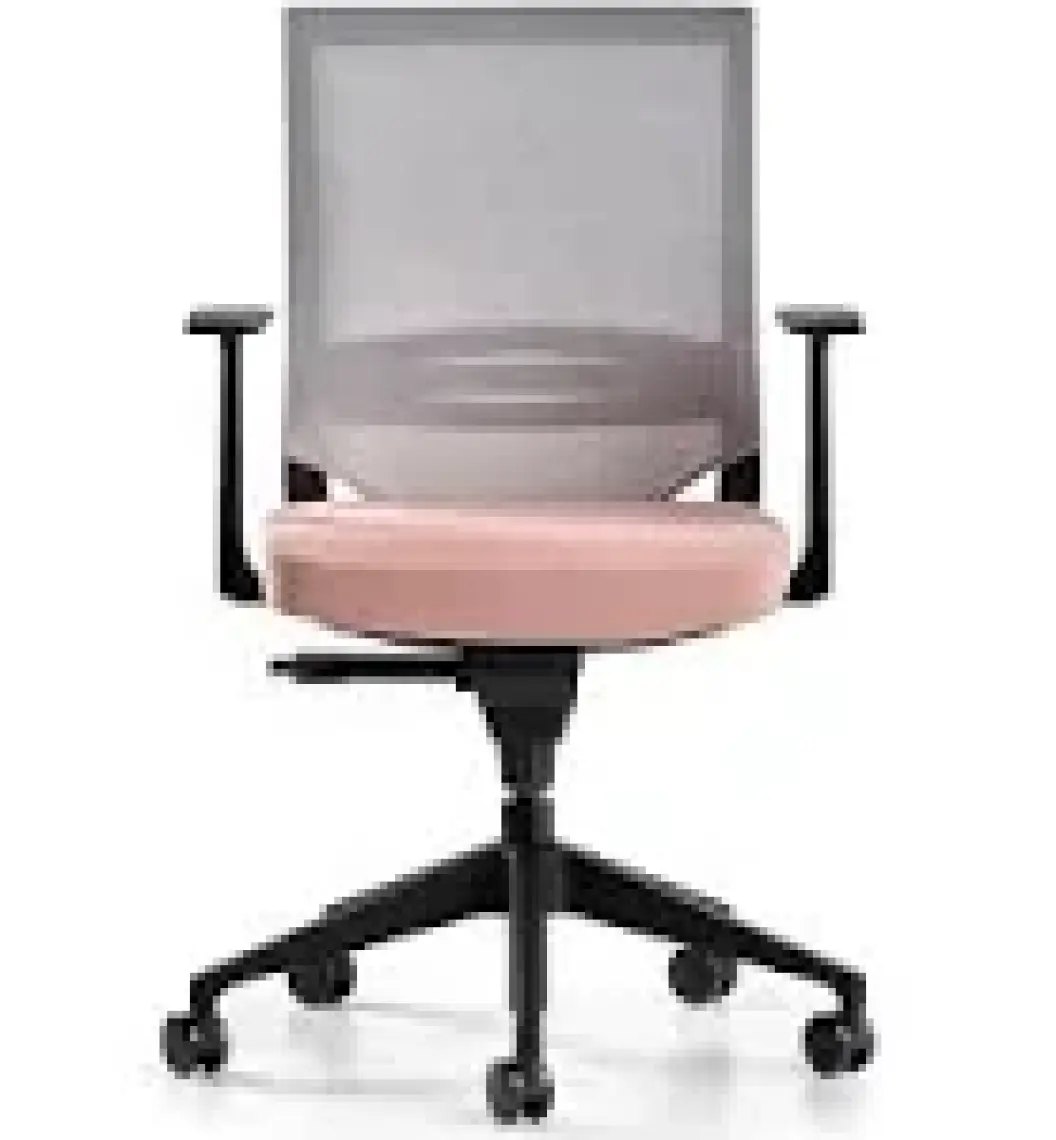 Bürotime Cozy Çalışma Koltuğu - Sabit T Kol - Plastik Ayak - Somon/gri