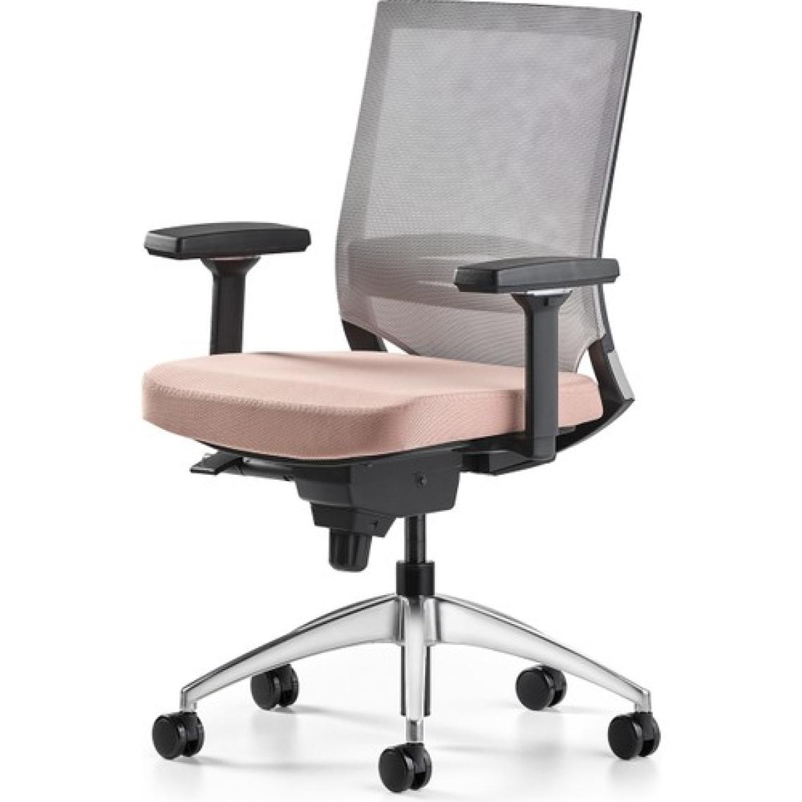 Bürotime Cozy Çalışma Koltuğu - 3D Kol - Alüminyum Ayak - Somon/gri