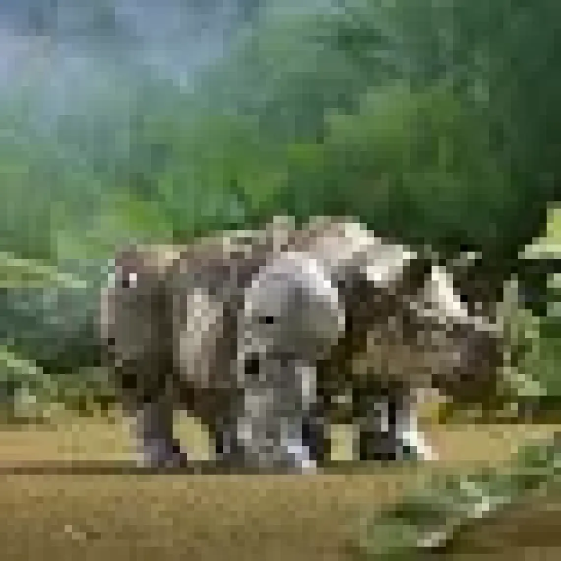 Transformers Movie 7 Rise Of The Beasts Battle Changer Rhinox F3896-F4606