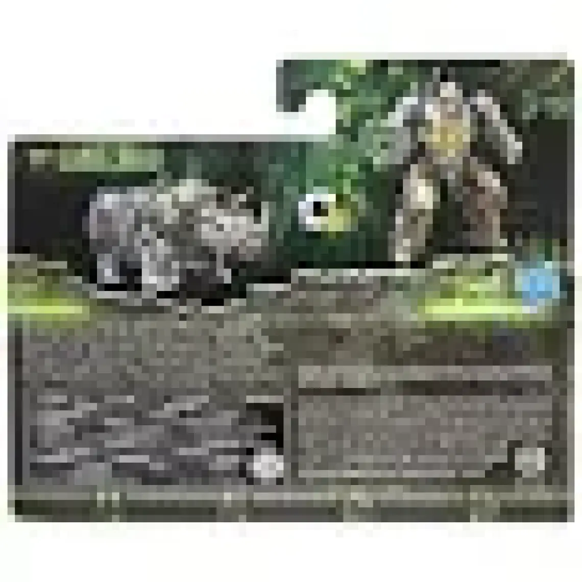 Transformers Movie 7 Rise Of The Beasts Battle Changer Rhinox F3896-F4606