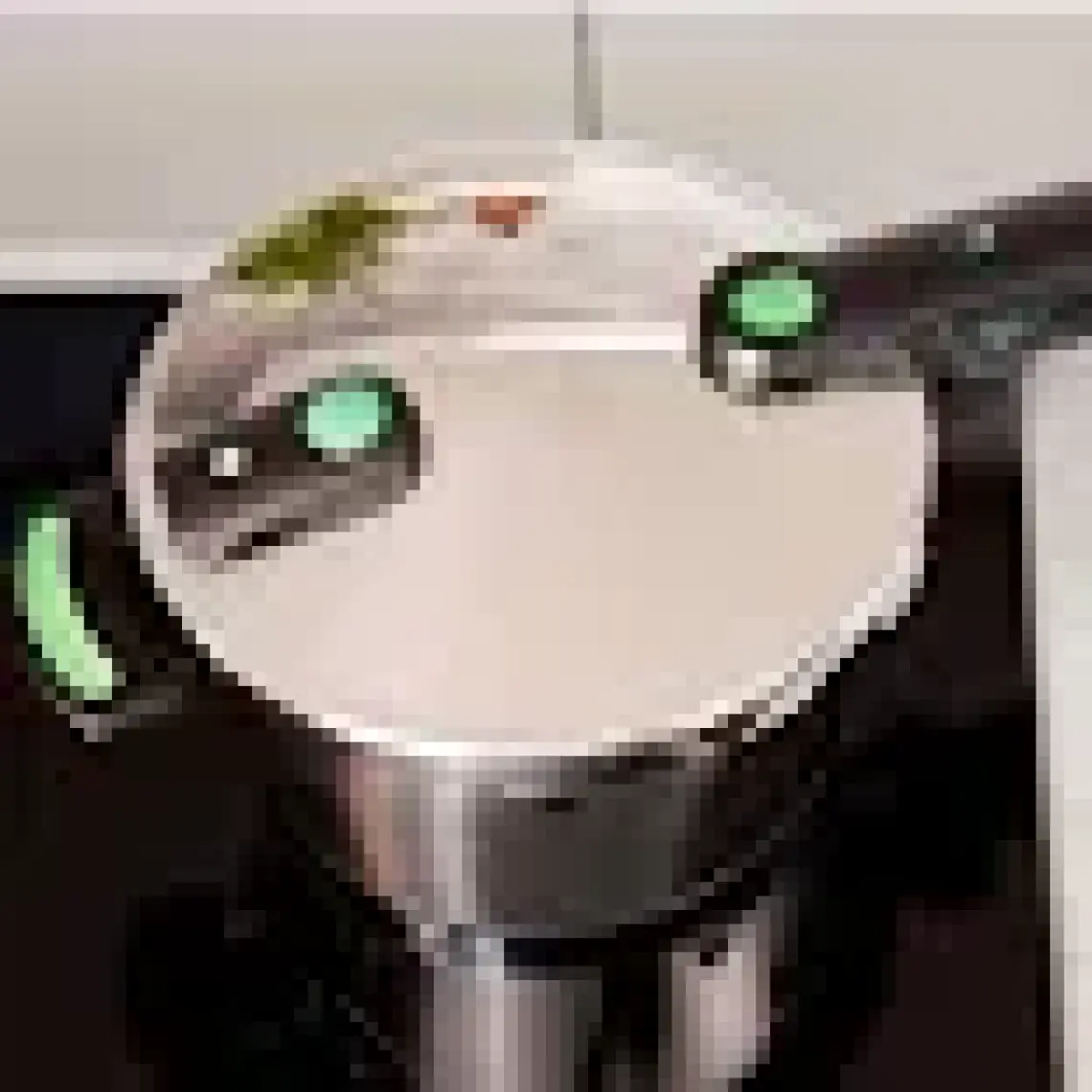 Fissler Vitaquick Green Düdüklü Tencere 4,5 Lt
