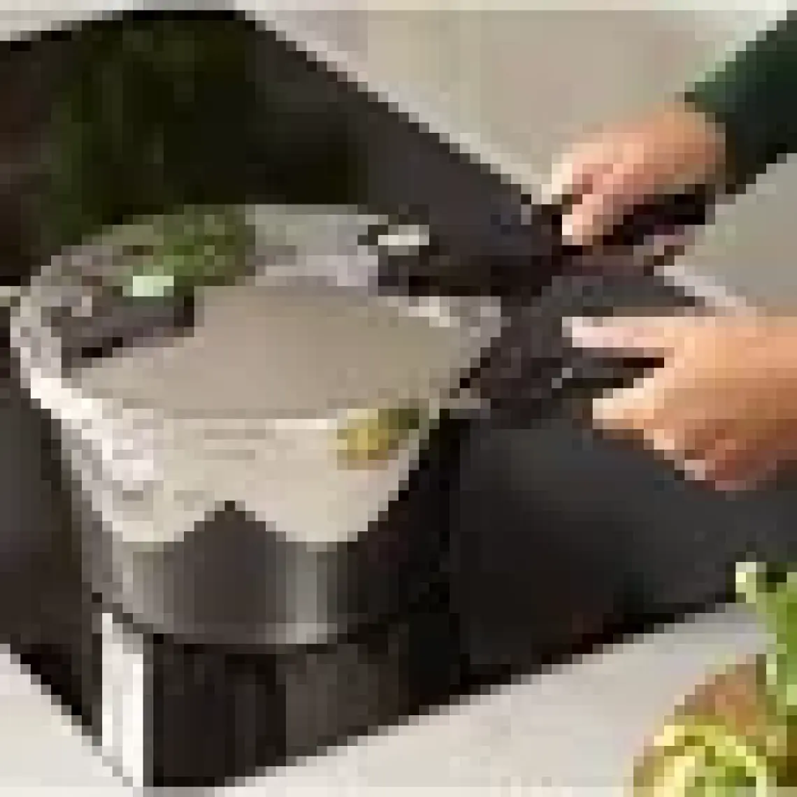 Fissler Vitaquick Green Düdüklü Tencere 4,5 Lt