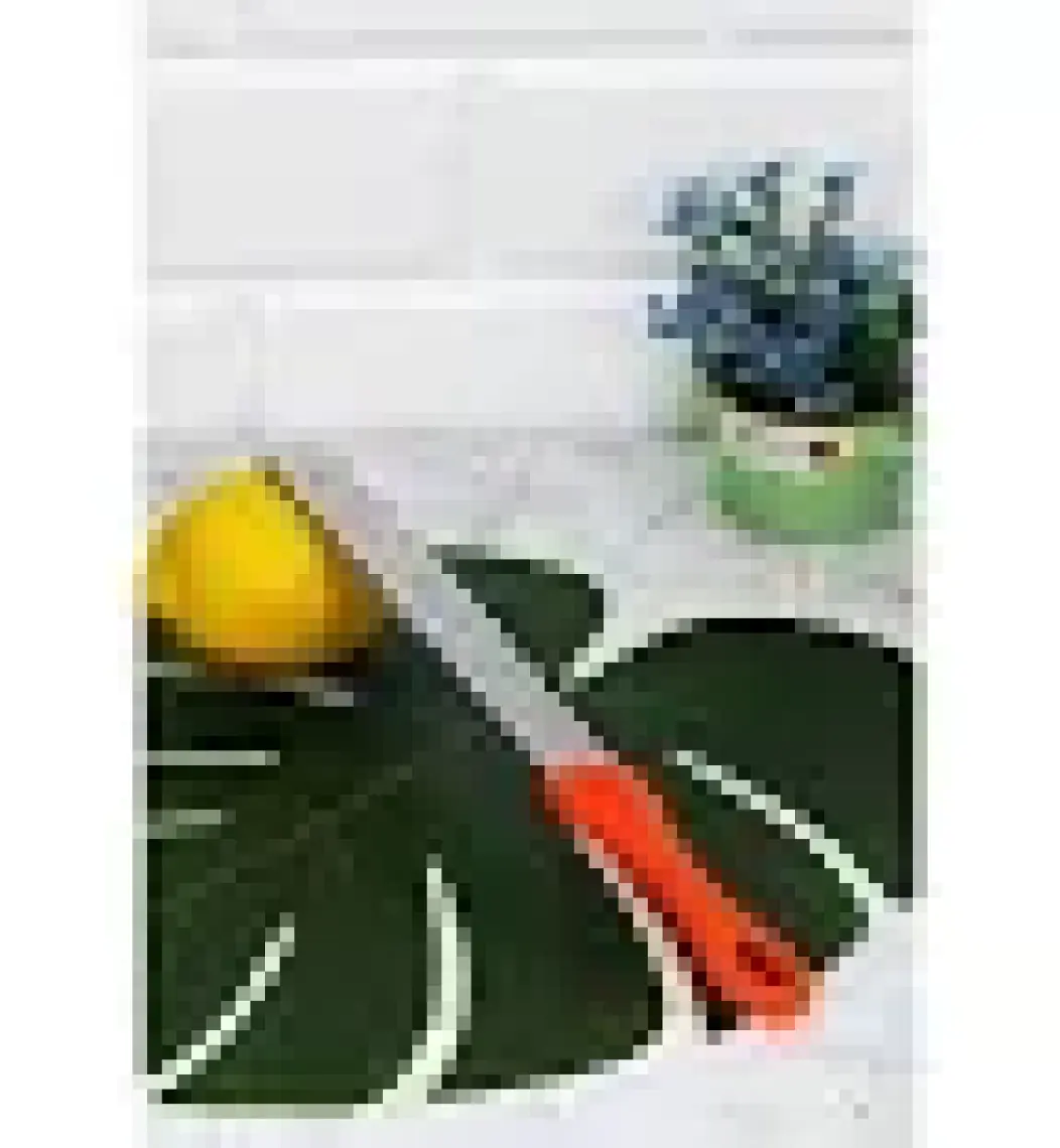 Peynir Rendesi - Limon - Portakal - Turunç Rendesi