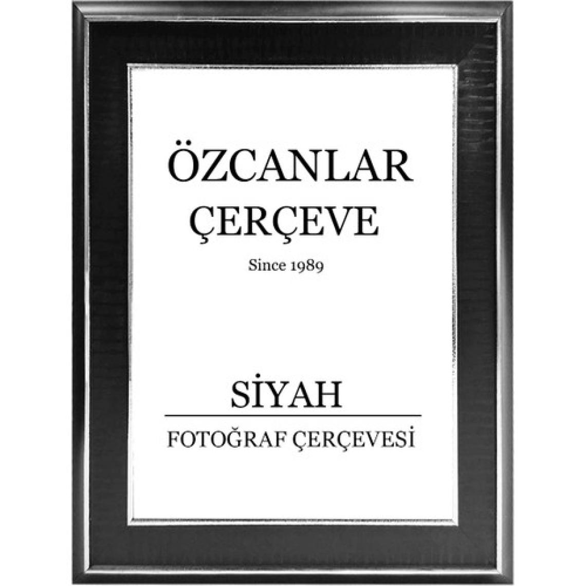 Özcanlar Çerçeve Boş Çerçeve Resim Çerçevesi Anı Çerçevesi 15X21 30X40 21X30 Çerçeve Gold Çerçeve Siyah Çerçeve