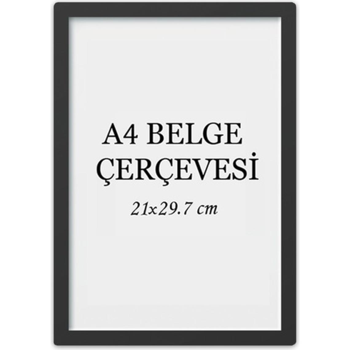 Özcanlar Çerçeve Diploma Çerçevesi  Belge Çerçevesi Sertifika Fotoğraf Çerçevesi A4 Tekli Boş Çerçeve 21X30