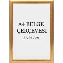 Özcanlar Çerçeve Diploma Çerçevesi  Belge Çerçevesi Sertifika Fotoğraf Çerçevesi A4 Tekli Boş Çerçeve 21X30