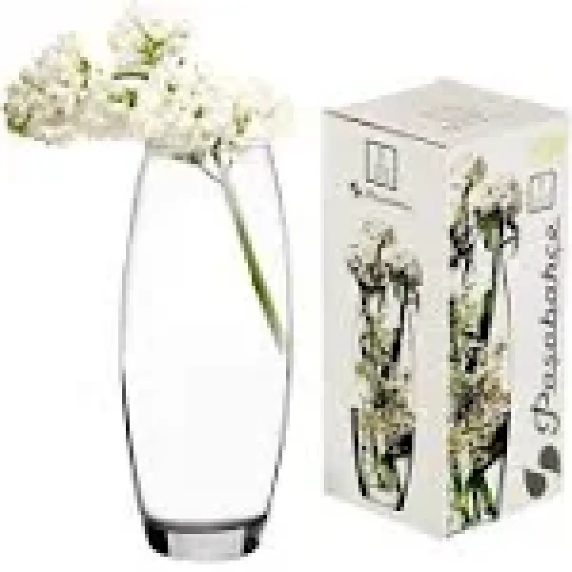 Paşabahçe Botanıca Vazo