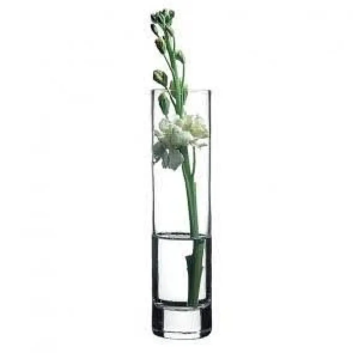 Paşabahçe Flora Vazo